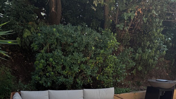 Ein modulares Sofa mit Kissen, ein Holztisch und zwei Holzsesseln auf einer Terrassenanlage.