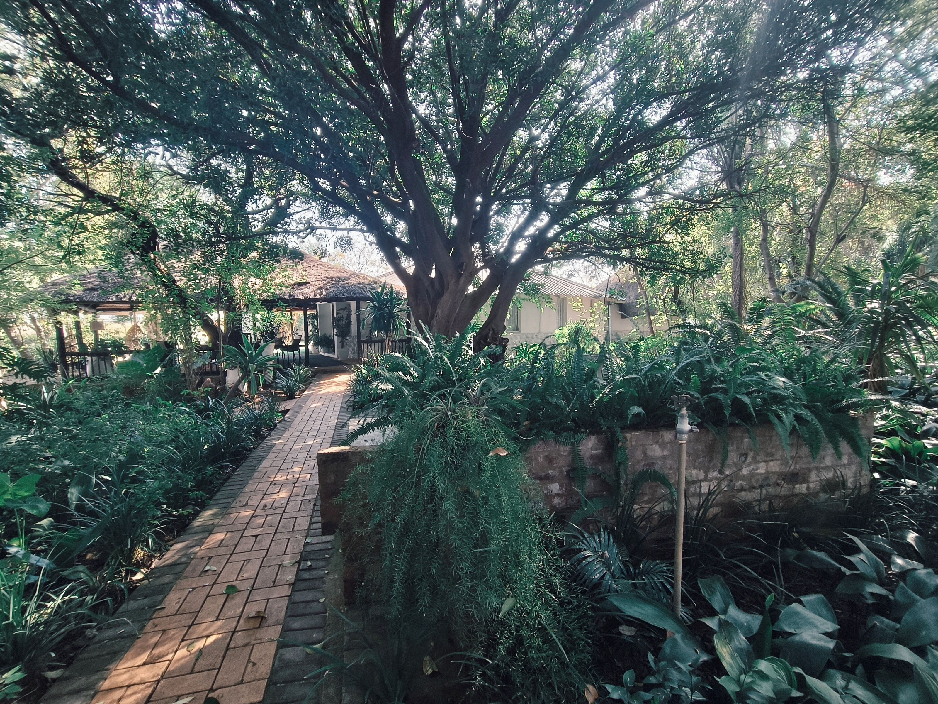 A garden pathway leading to a gazebo with a thatched roof, surrounded by lush greenery and a brick wall.