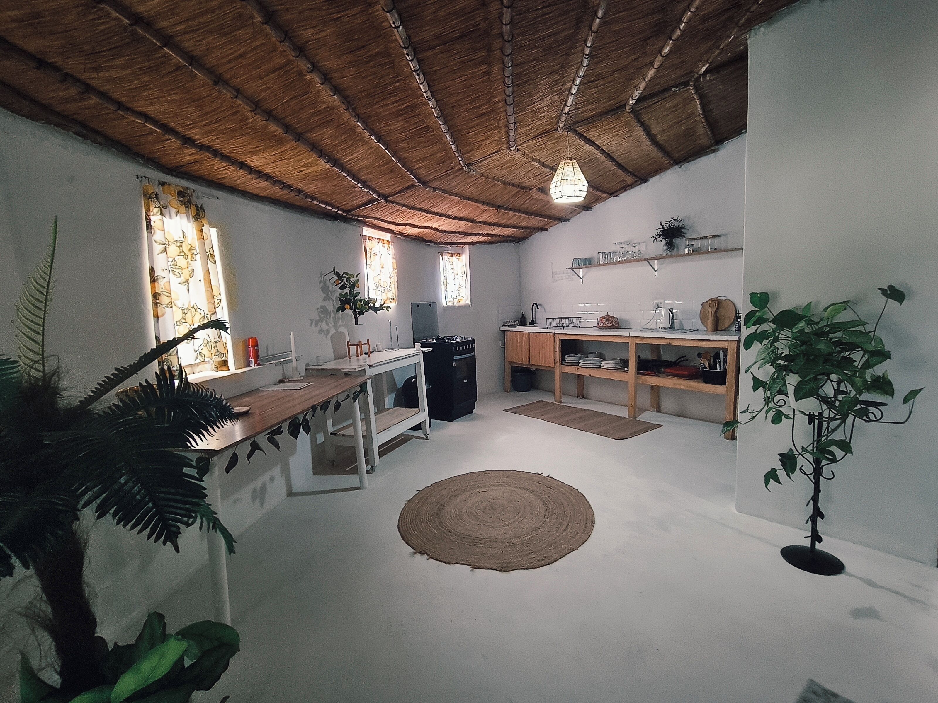 Deluxe Villa, Patio, Garden View | Private kitchen