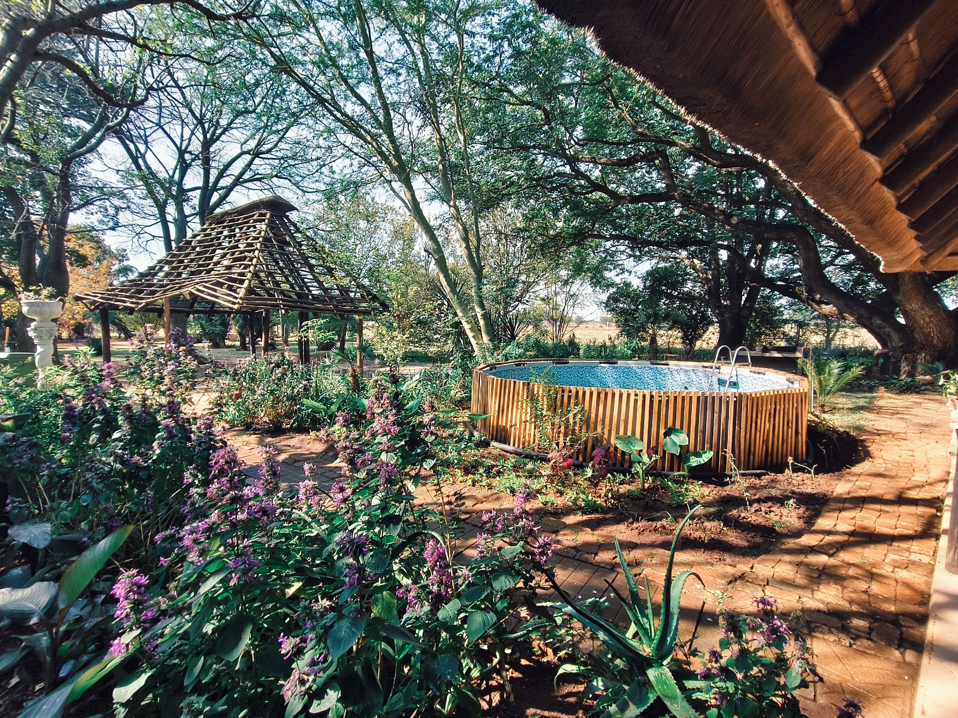 Un jardín con un pabellón de madera, un estanque circular y diversas plantas.