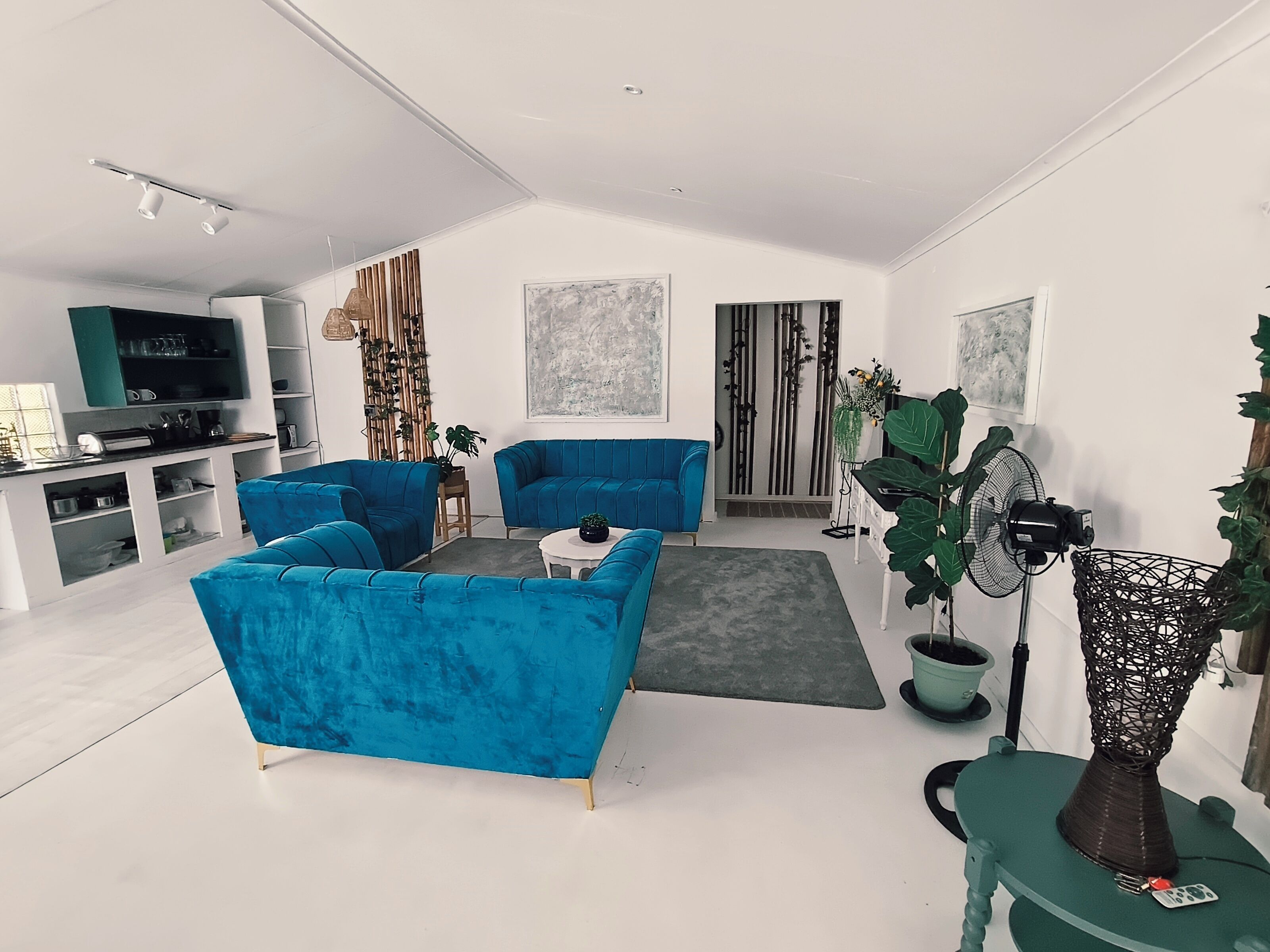 Een moderne woonkamer met blauwe banken, een bijzettafeltje, een televisie en een grote plant.
