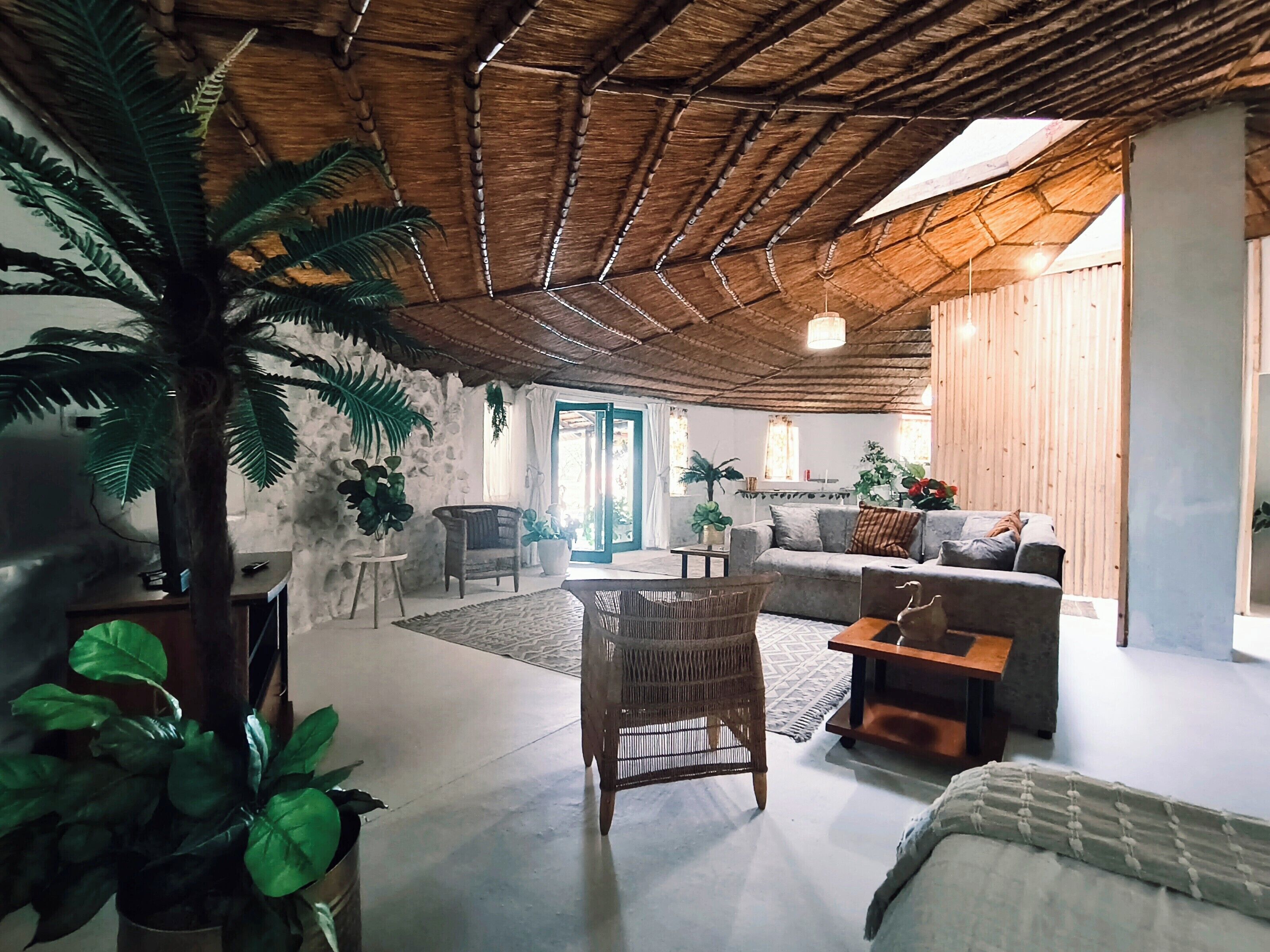 Un vaste espace de vie doté d’un haut plafond, agrémenté d’une grande plante en pot, d’un fauteuil en osier, d’un canapé et d’une table basse.