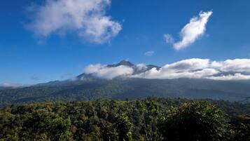 Paisaje montañoso con un primer plano arbolado y cielo despejado.