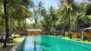 A swimming pool with a wooden deck, surrounded by palm trees and a clear sky.