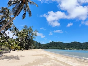 A beach with palm trees and a clear sky.