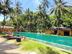 A swimming pool with lounge chairs and palm trees.
