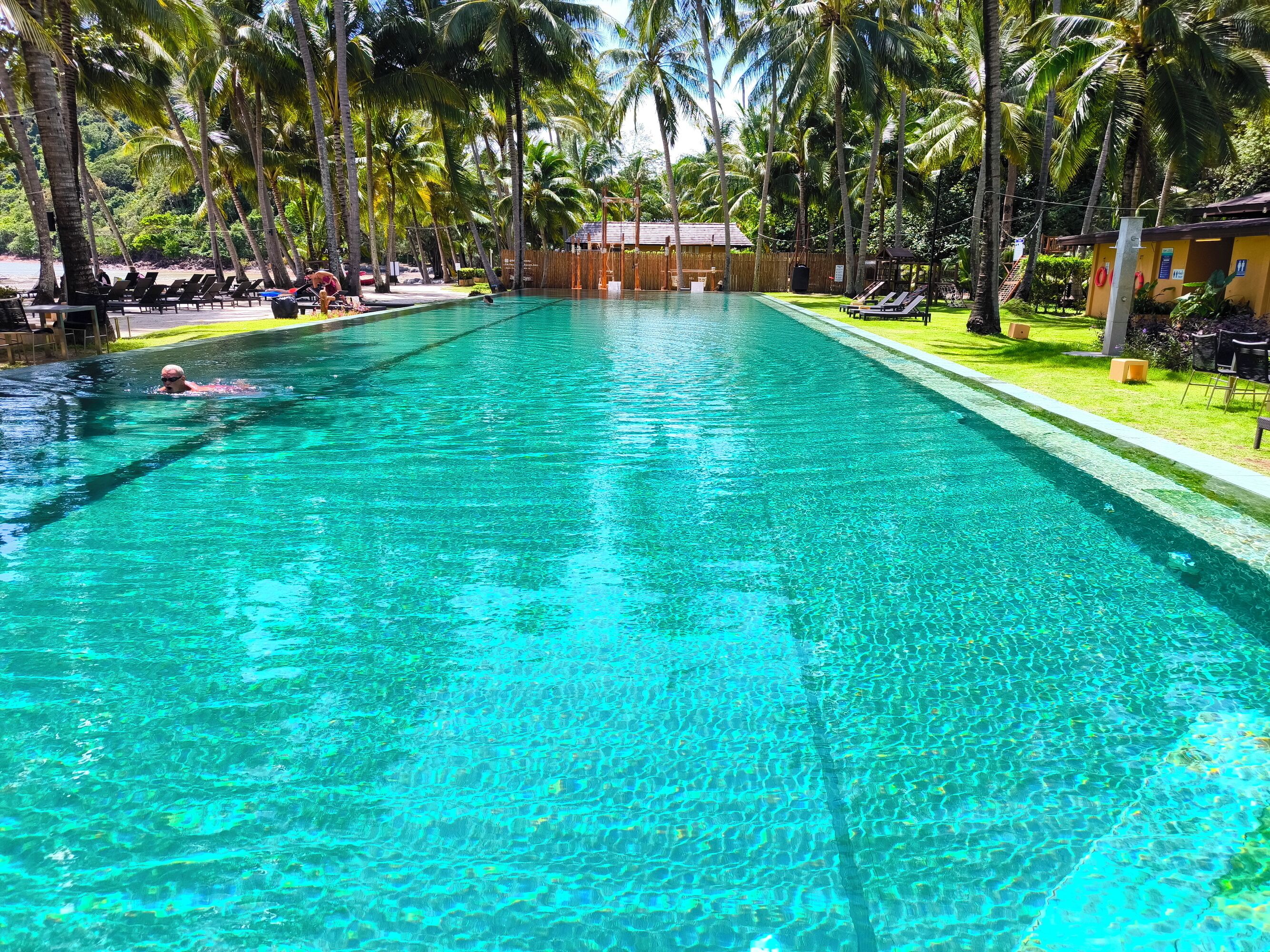 A clear pool surrounded by palm trees and lounge chairs, with a building in the background.