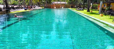 A clear pool surrounded by palm trees and lounge chairs, with a building in the background.