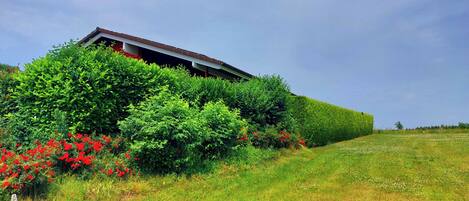 A building partially obscured by dense green foliage and red flowers.