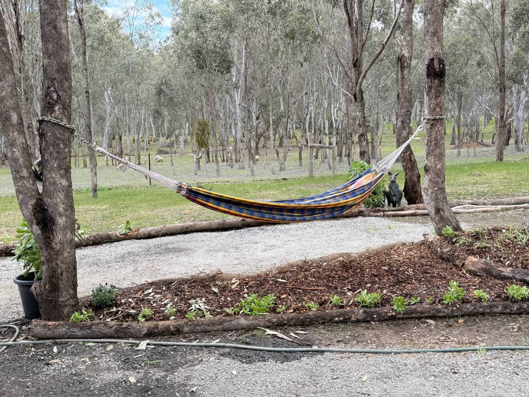 Una hamaca entre árboles en una zona boscosa, con un camino de grava y bancales de mantillo.