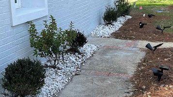 A pathway leading to a building with a signboard, surrounded by small bushes and a gravel bed.