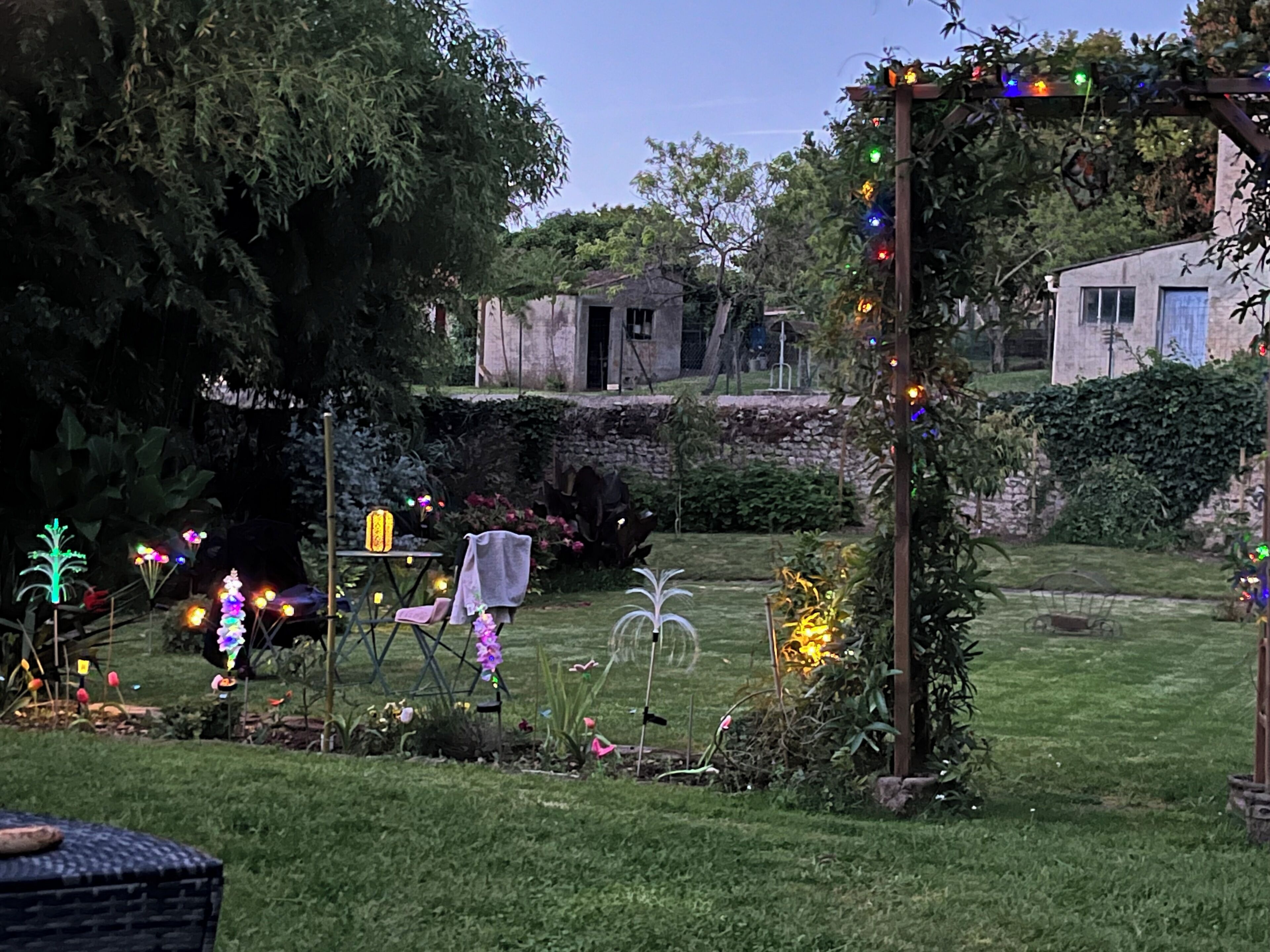Un jardin agrémenté de diverses plantes et de jeux de lumière décoratifs.