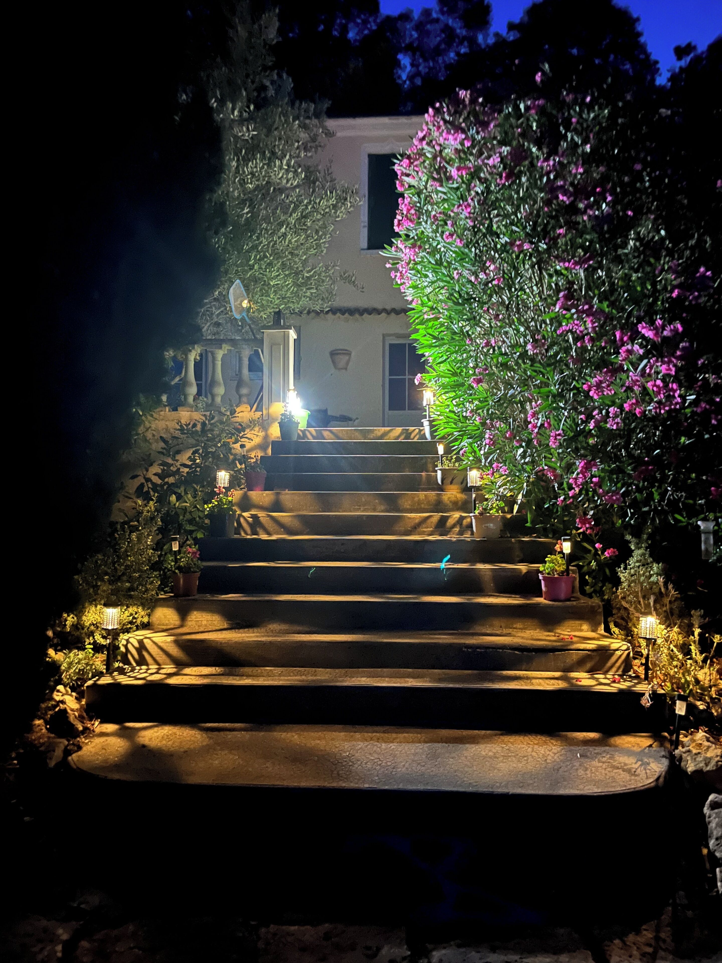 Un escalier menant à un bâtiment surmonté d’un jardin.