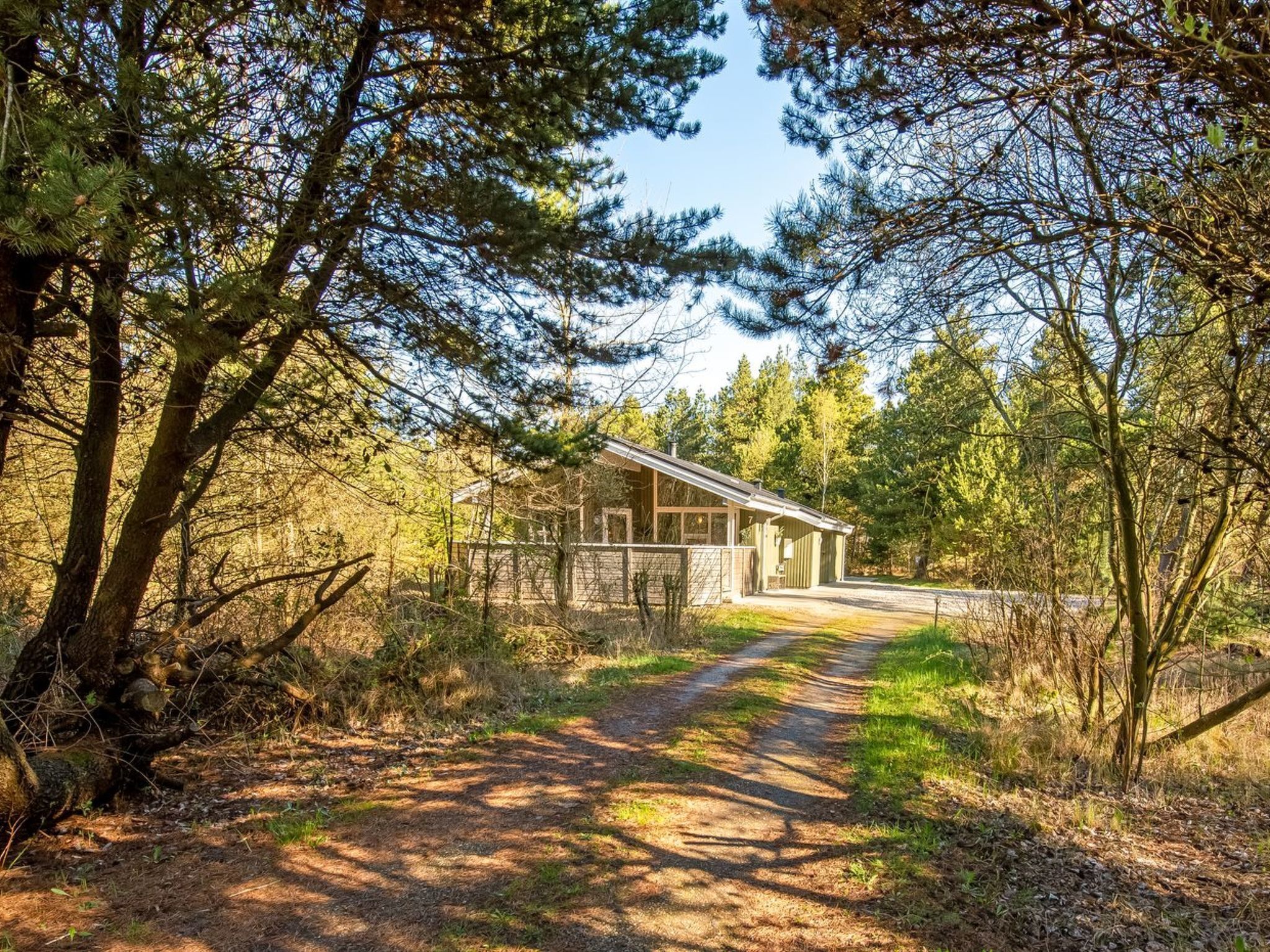 Une cabane accessible par un sentier de terre, entourée d’arbres.
