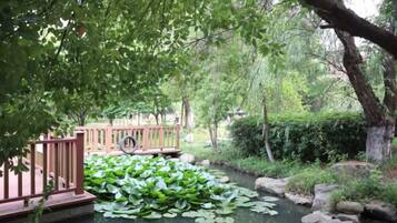 Un estanque con lirios y un puente de madera.