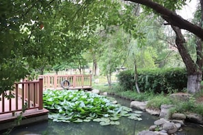 A pond with lily pads and a wooden bridge.