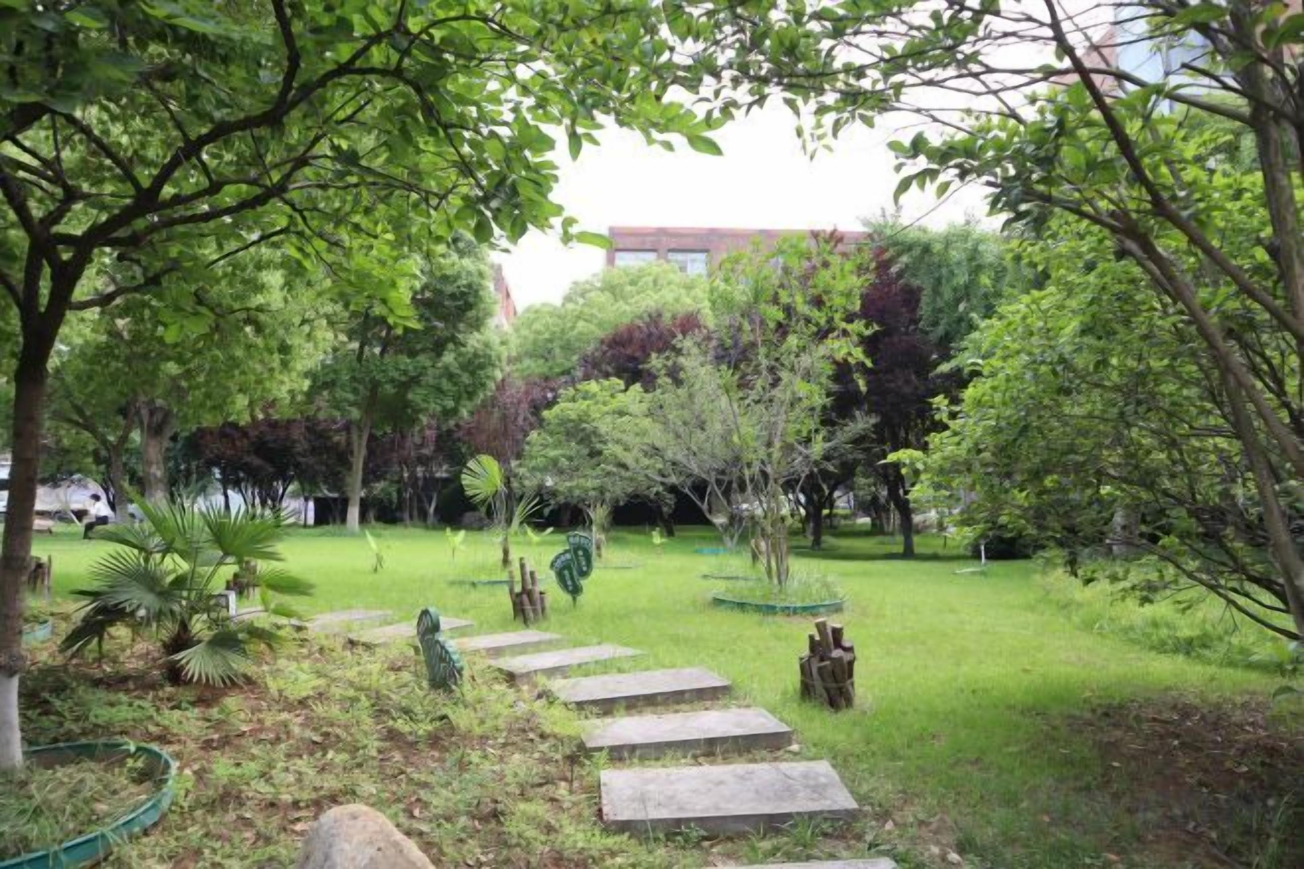 A garden with a stone pathway, various plants, and trees.