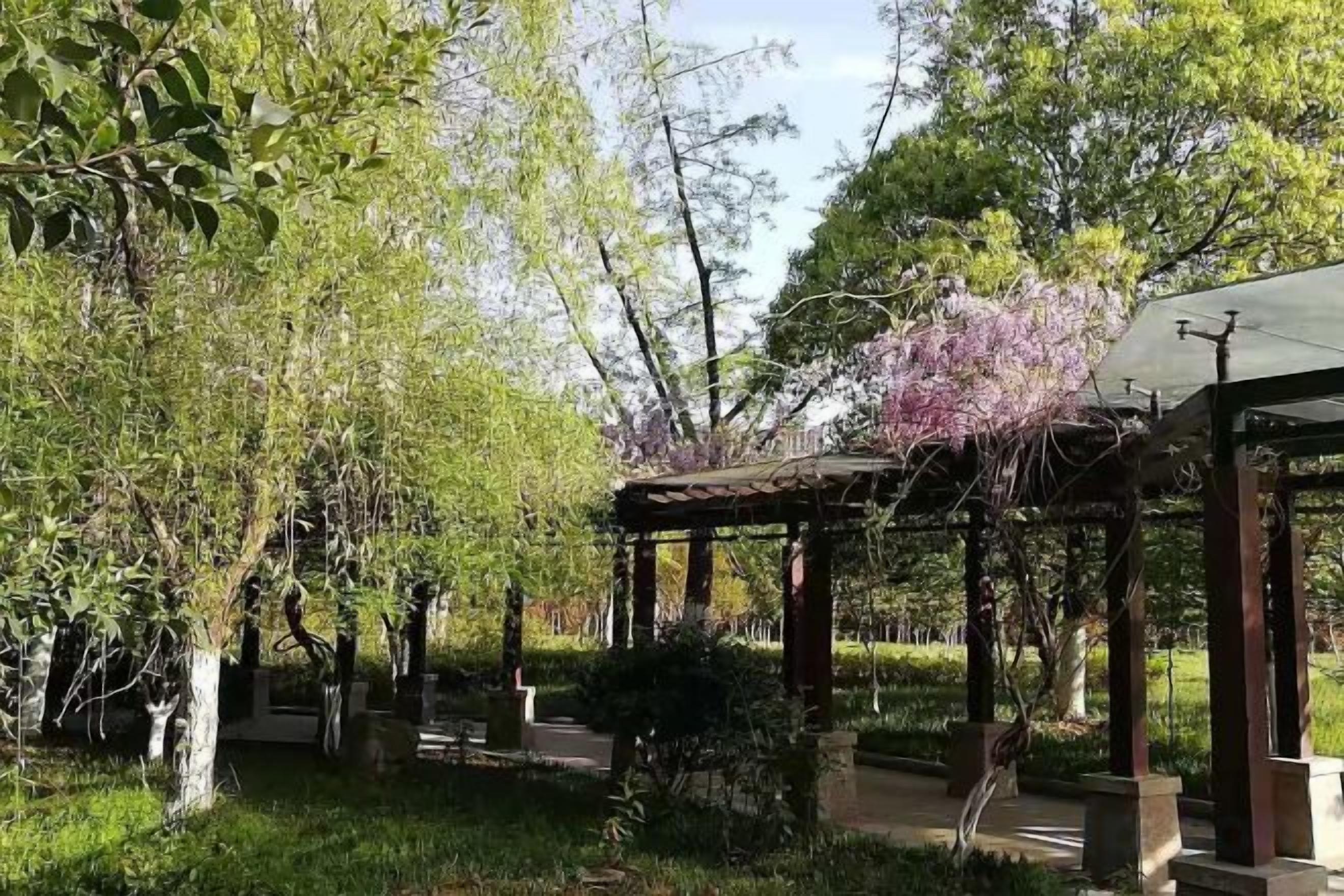 A garden with a gazebo, trees, and a pathway.