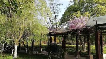 A garden with a gazebo, trees, and a pathway.