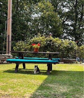 Outdoor dining - Vrbo Property (Colazza)
