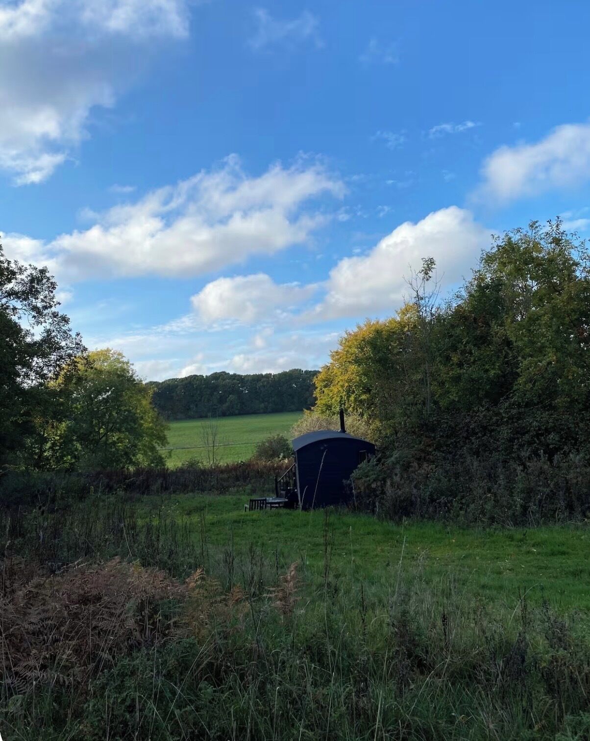 A rural landscape with a small, dark-colored structure surrounded by greenery and trees.