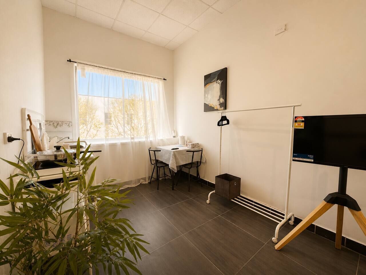 A room with a dining table, chairs, a television on a tripod stand, a potted plant, and a window with sheer curtains.