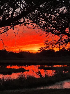 Un atardecer sobre un cuerpo de agua con siluetas de árboles contra el cielo.