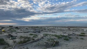 Ein Strand mit verstreuten Trümmern und bewölktem Himmel.