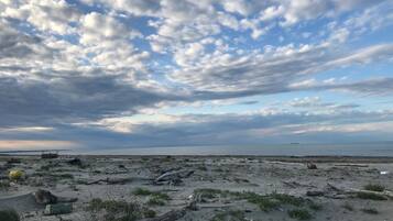 A beach with scattered debris and a cloudy sky.
