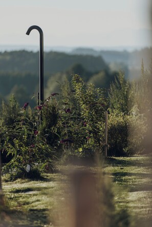 A garden with a variety of plants and a metal structure. - Sona Suites Allgäu: Sauna, Hot Tub, and Mountain Views (Wiggensbach)