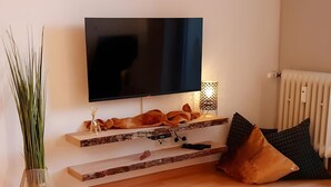 A living room with a flat-screen TV mounted on the wall, wooden shelves with decorative items, a radiator, and a vase with tall plants. - Holiday at 1,000 Meters with Mountain View, Pool, Sauna, and Wi-Fi (Schönwald im Schwarzwald)