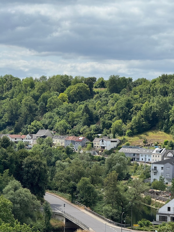 A residential area with houses on a hillside, a bridge, and a road.