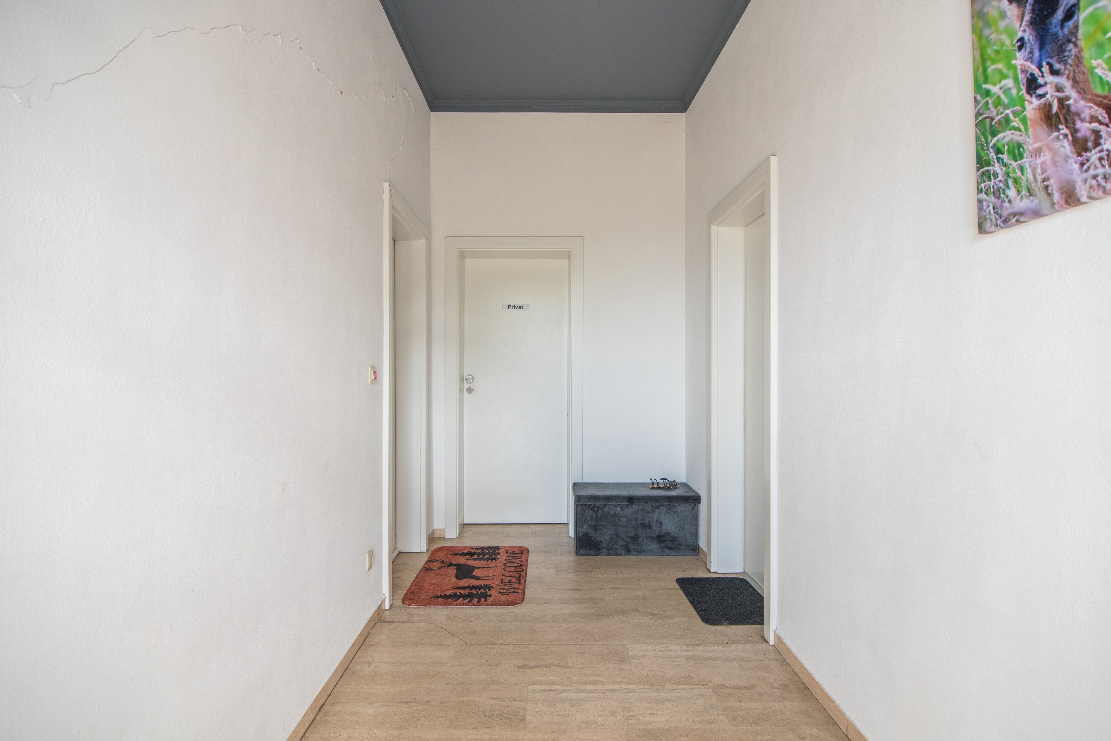 A hallway with a white door labeled 'Privat,' a wooden floor, and a welcome mat with a deer design.