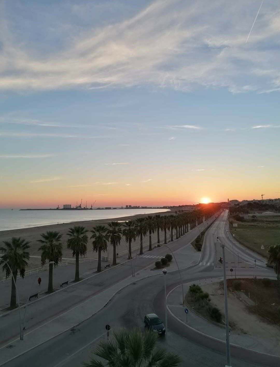 Una carretera costera con palmeras, una playa y un atardecer.