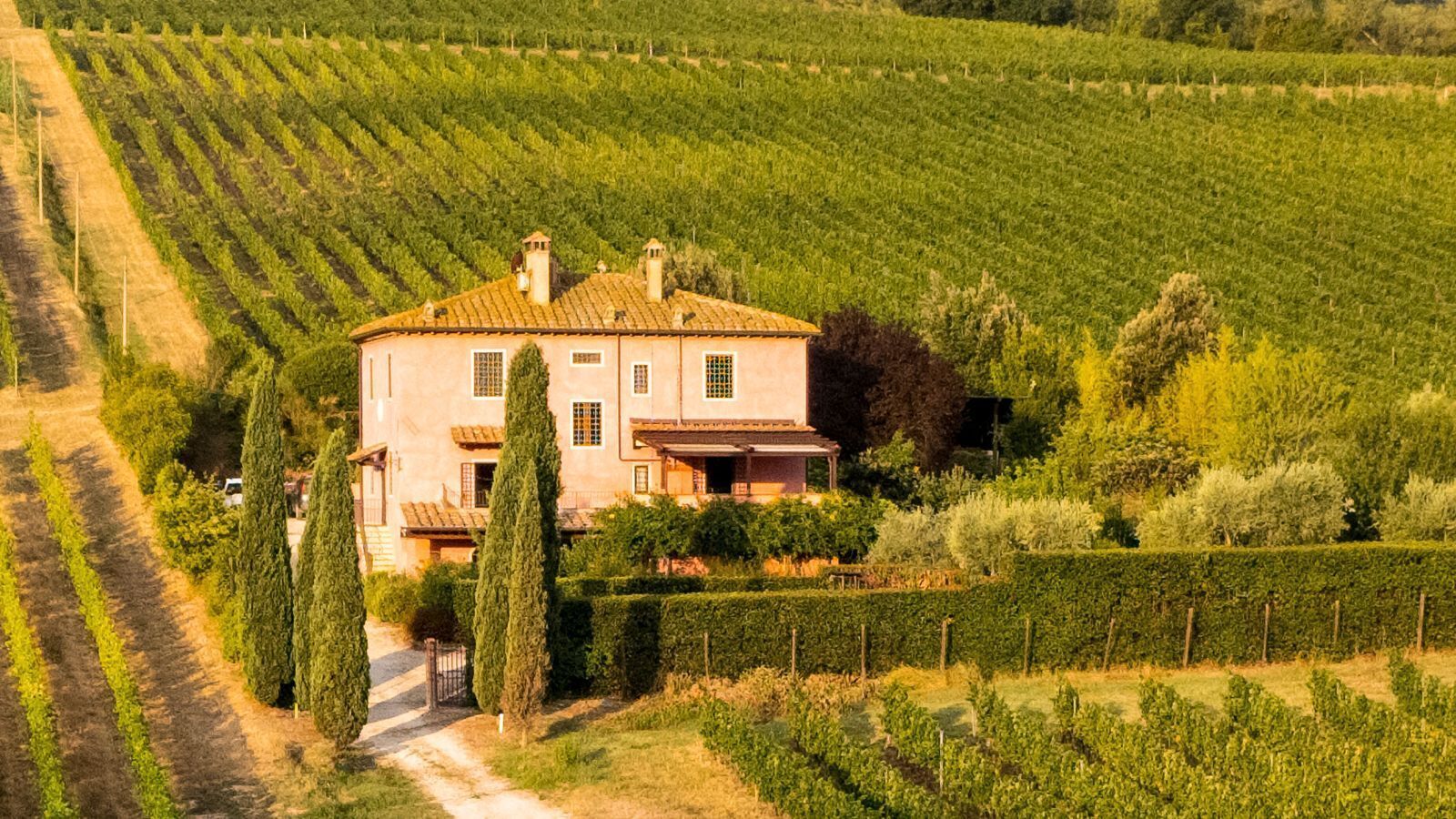 A large, two-story building with a symmetrical facade, surrounded by neatly arranged vineyard rows.
