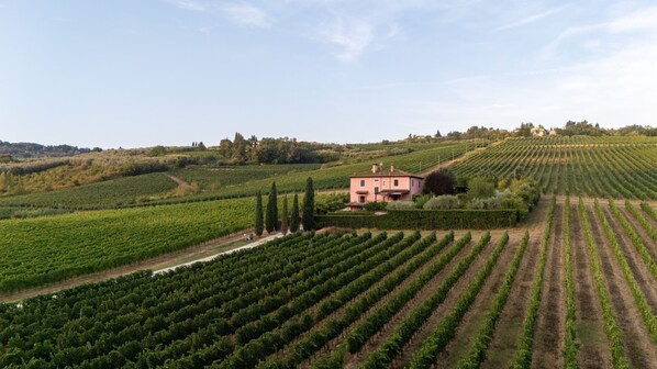 Miscellaneous - Podere Gora (Toscana)