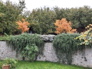 Mur de pedra amb plantes enfilades i una zona enjardinada al davant.