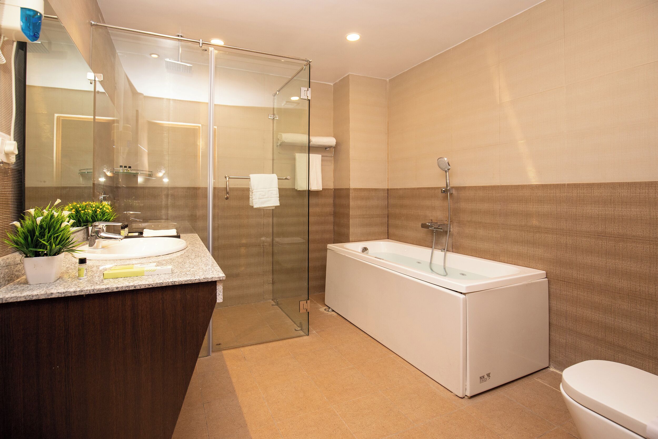 Shower, towels, soap, shampoo