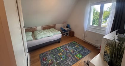 Luxury 150-square-meter family villa near Basel/Golf