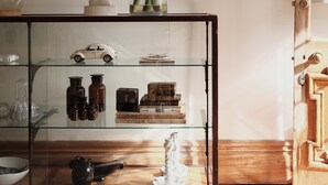 Een kamer met een glazen displaykast vol diverse objecten, een grote plant en een houten deur.