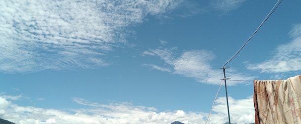 Terras