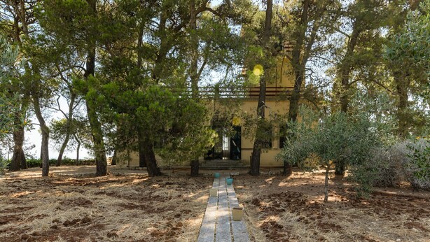 Un sentiero che conduce a un edificio circondato da alberi.