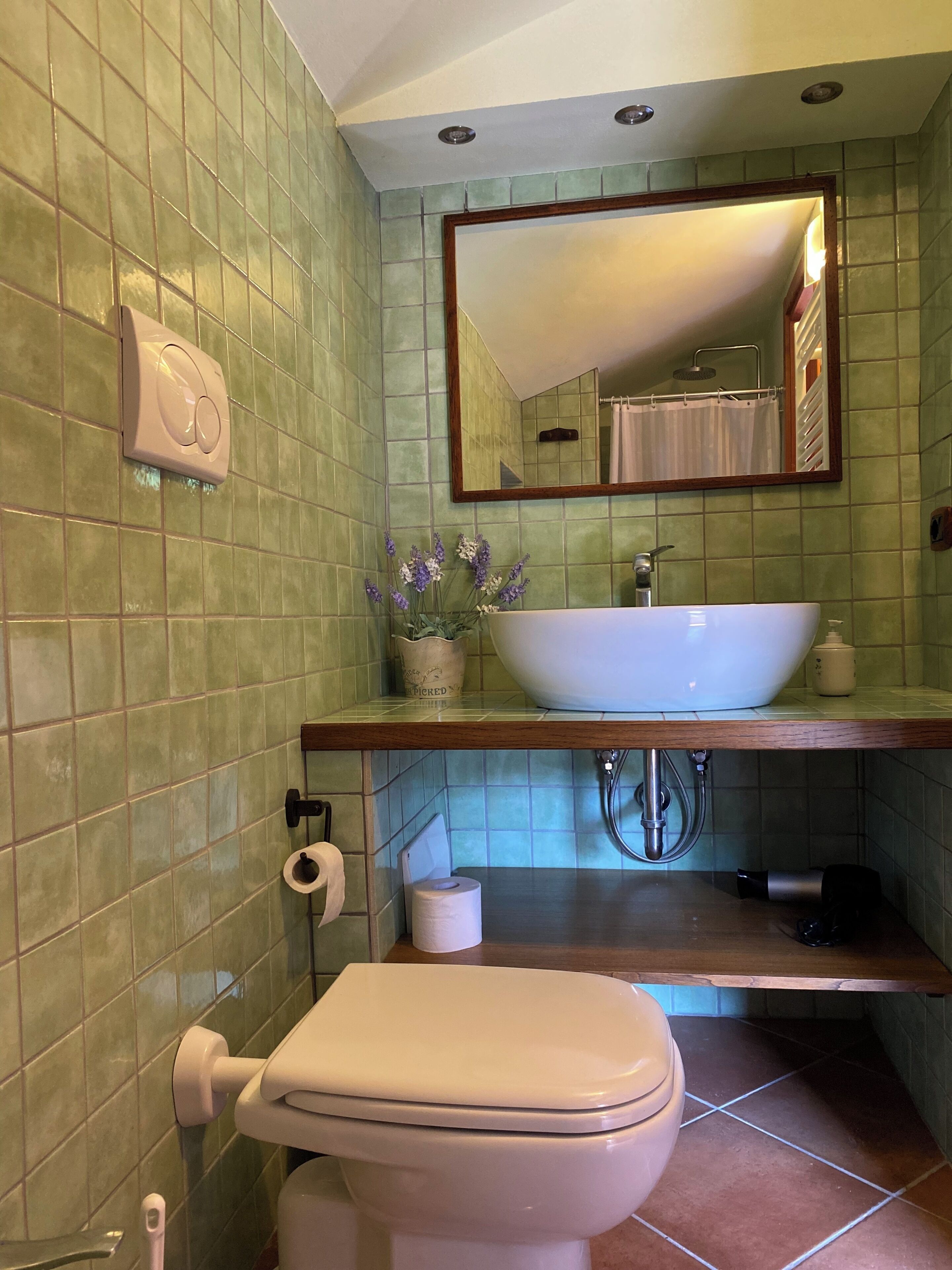 Un bagno con il water, un lavandino, uno specchio e pareti rivestite di piastrelle verdi.