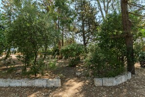 Un jardin avec une variété d’arbres et un sentier en pierre.