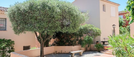 A courtyard with a tree, a bench, and a tiled pathway.