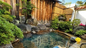 A garden with a clear water feature surrounded by rocks and greenery.