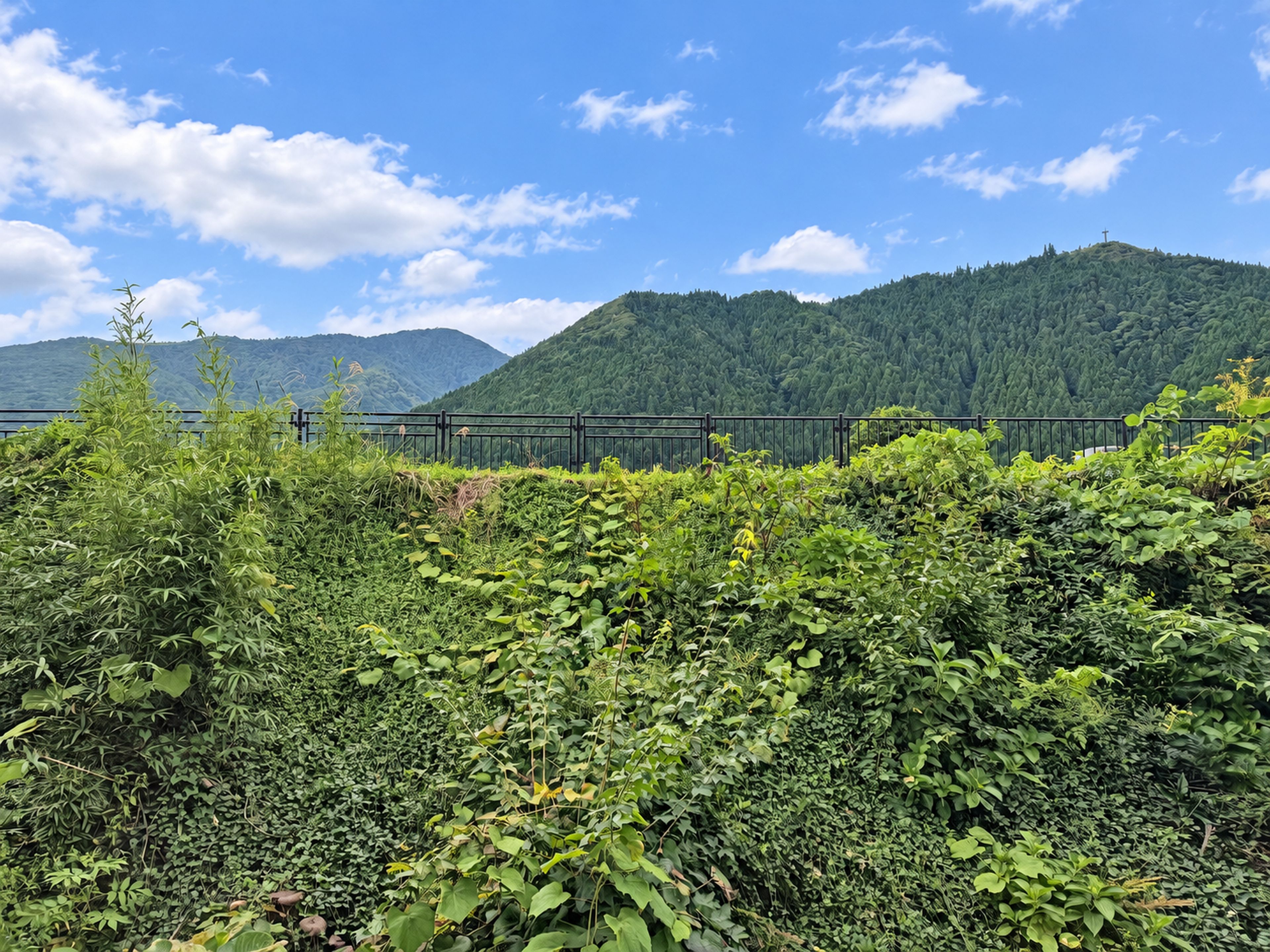 Un paesaggio verdeggiante e rigoglioso con una recinzione e una montagna sullo sfondo.