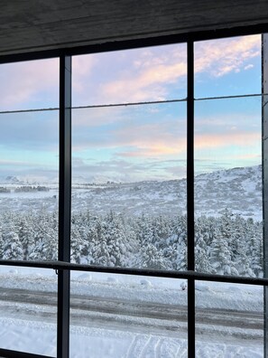 A view through a window with a snowy landscape outside, including trees and distant buildings.