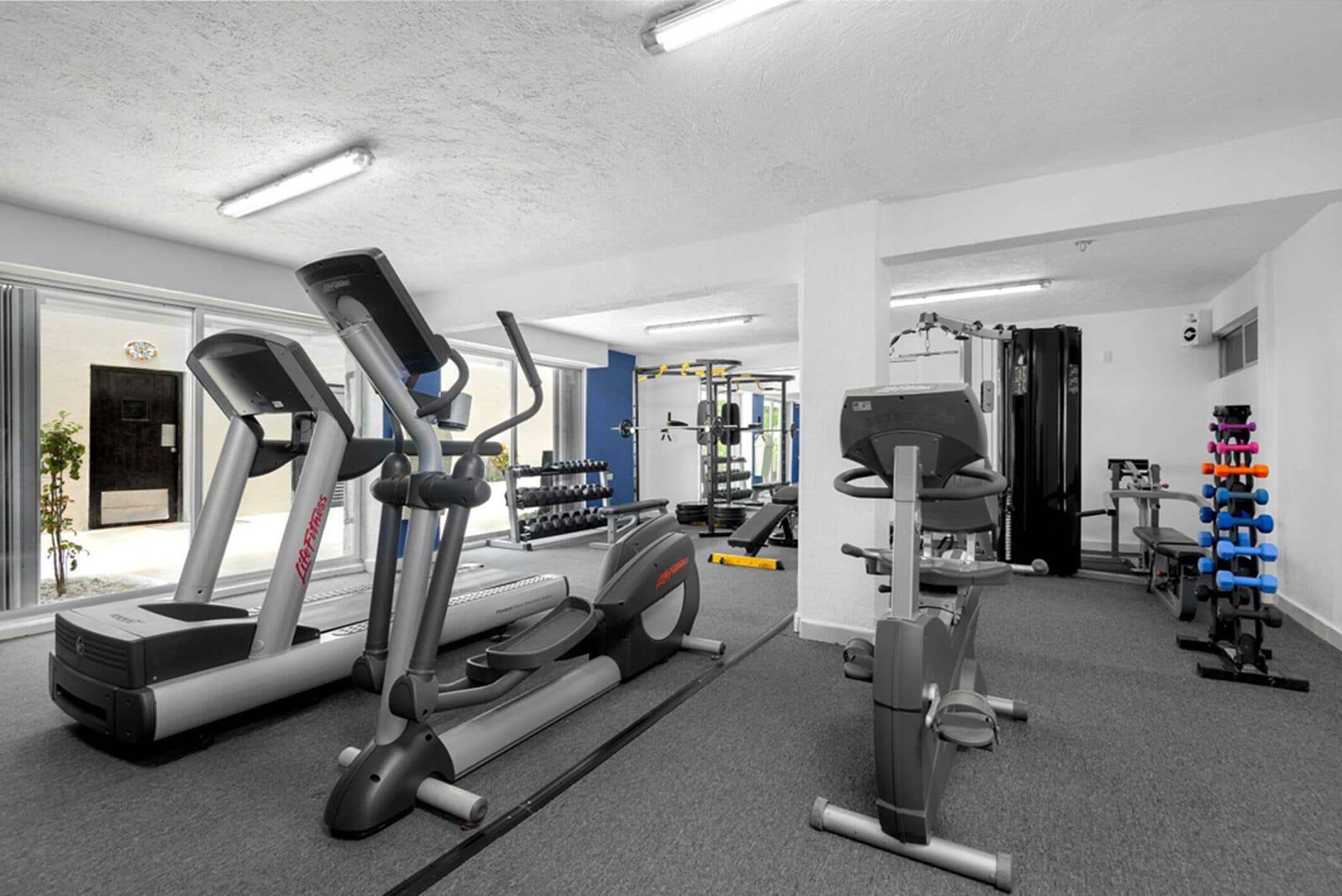 A gym with treadmills, weight machines, and free weights.