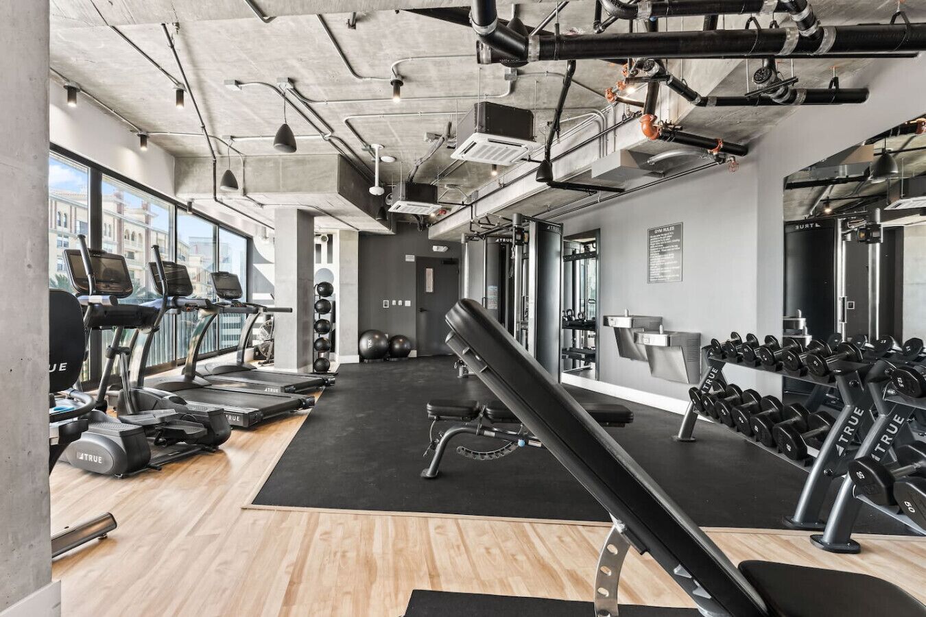 A gym with treadmills, weight machines, and free weights.